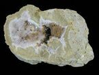 Aragonite & Kutnohorite Crystal Geode Half - Italy #61770-1